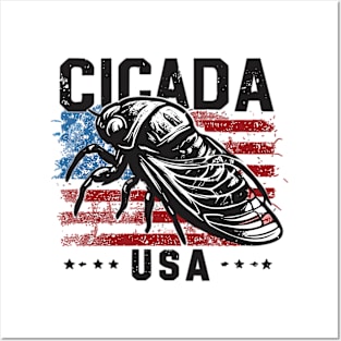 Cicada USA Posters and Art